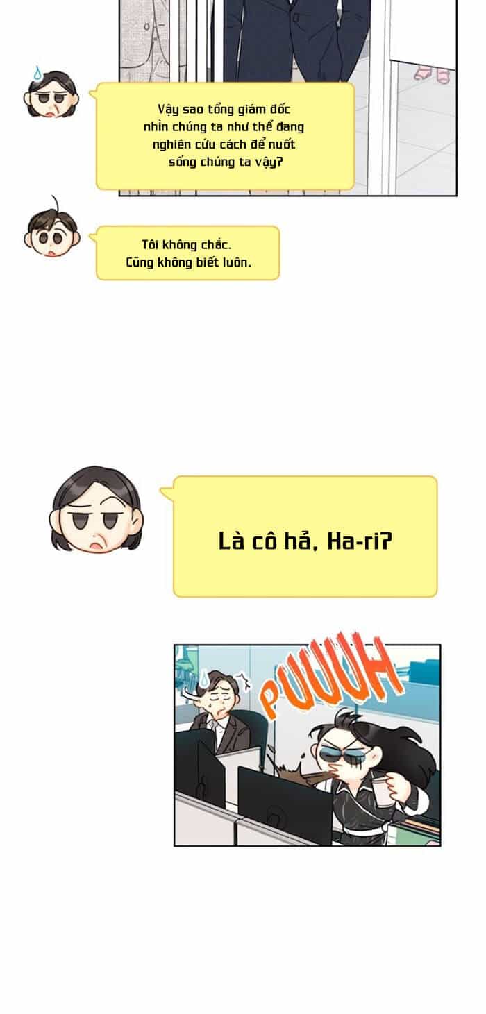 Hẹn Hò Nơi Công Sở - Chương 25 - ảnh 18