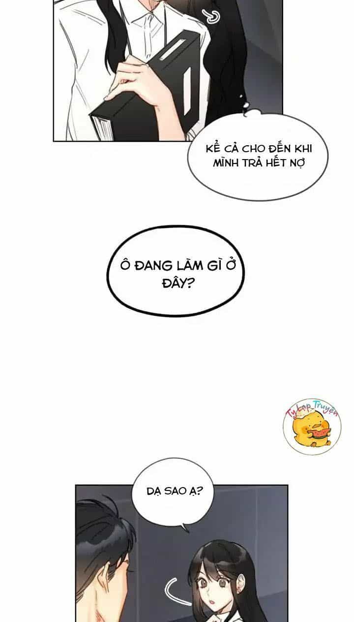 Hẹn Hò Nơi Công Sở - Chương 5 - ảnh 14