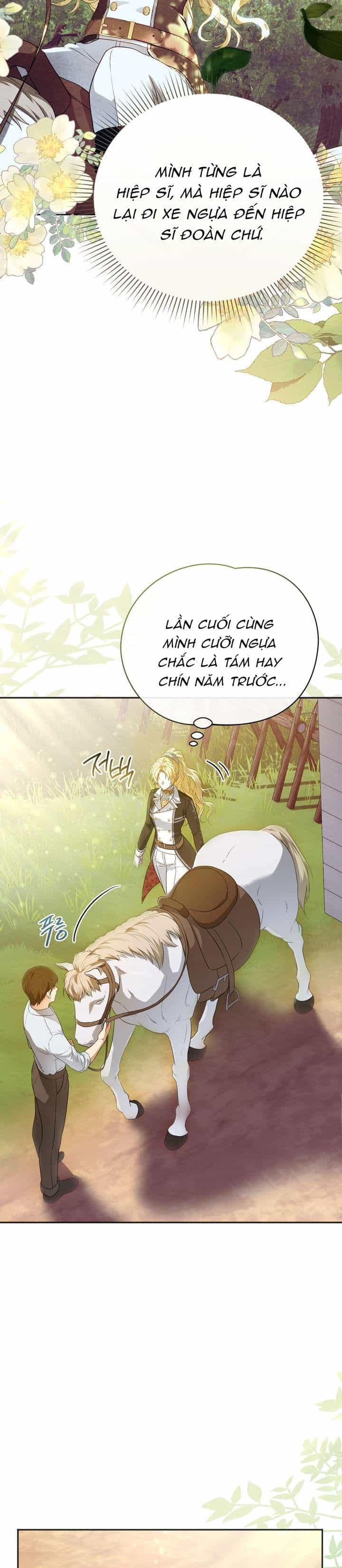Hiệp Sĩ Vàng - Chương 2 - ảnh 4
