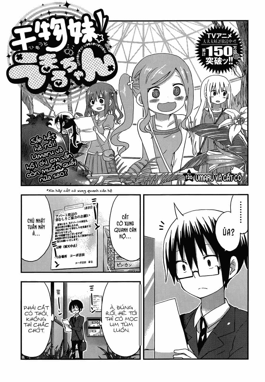 Himouto! Umaru-Chan - Chương 120 - ảnh 1