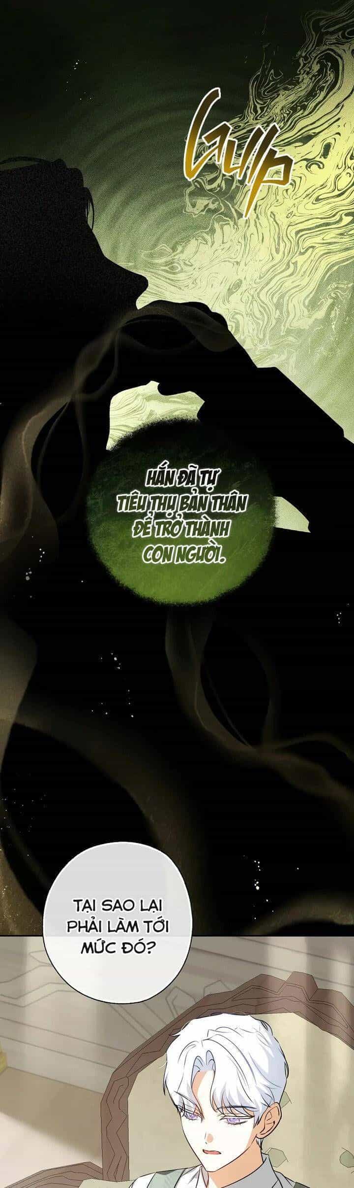 Hình Như Tôi Đã Xuyên Vào Cuốn Tiểu Thuyết Nào Đó - Chương 63 - ảnh 36