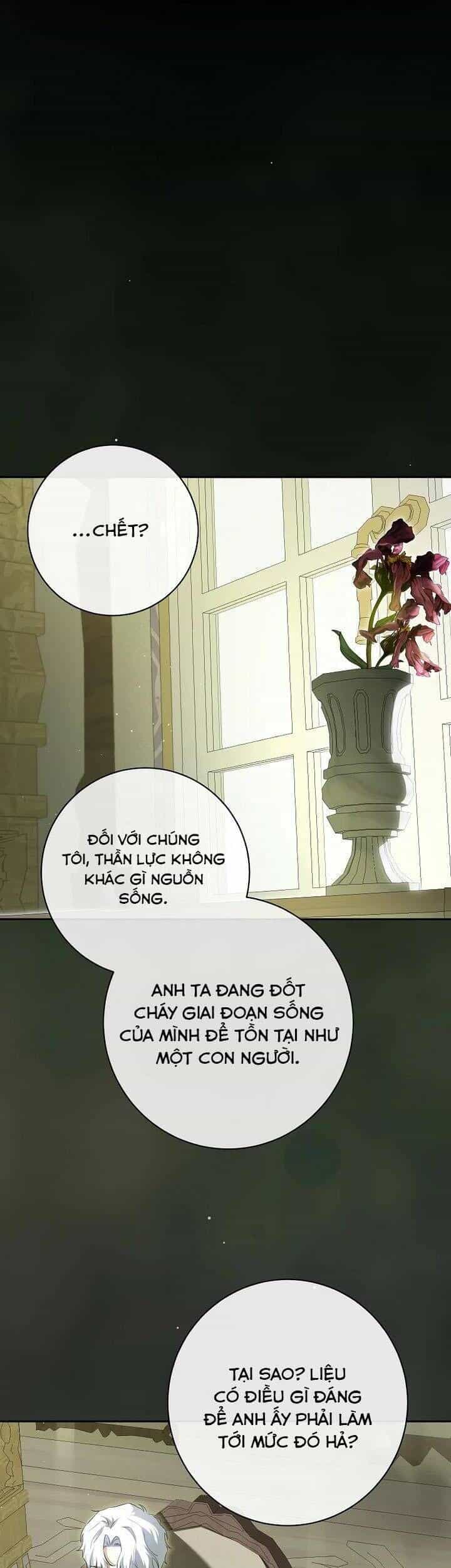 Hình Như Tôi Đã Xuyên Vào Cuốn Tiểu Thuyết Nào Đó - Chương 64 - ảnh 3