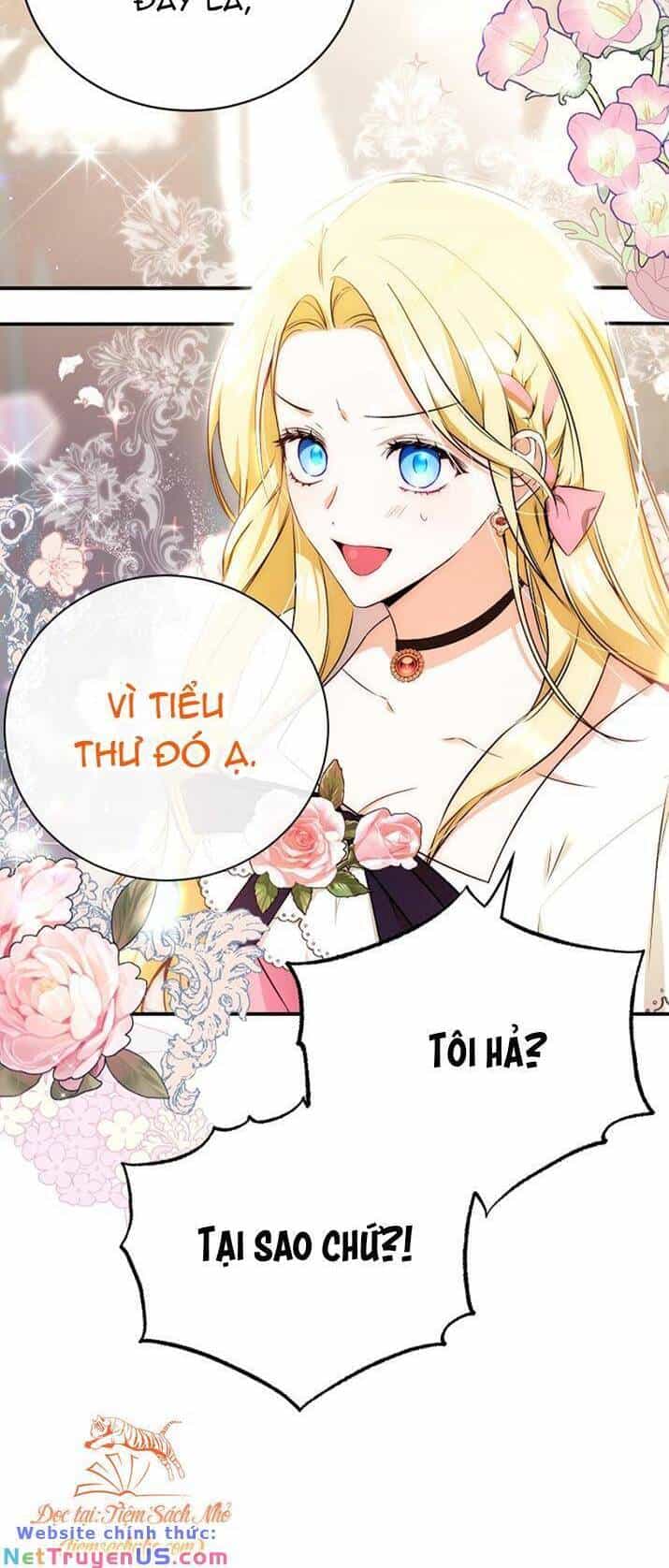 Hình Như Tôi Đã Xuyên Vào Cuốn Tiểu Thuyết Nào Đó - Chương 7 - ảnh 6