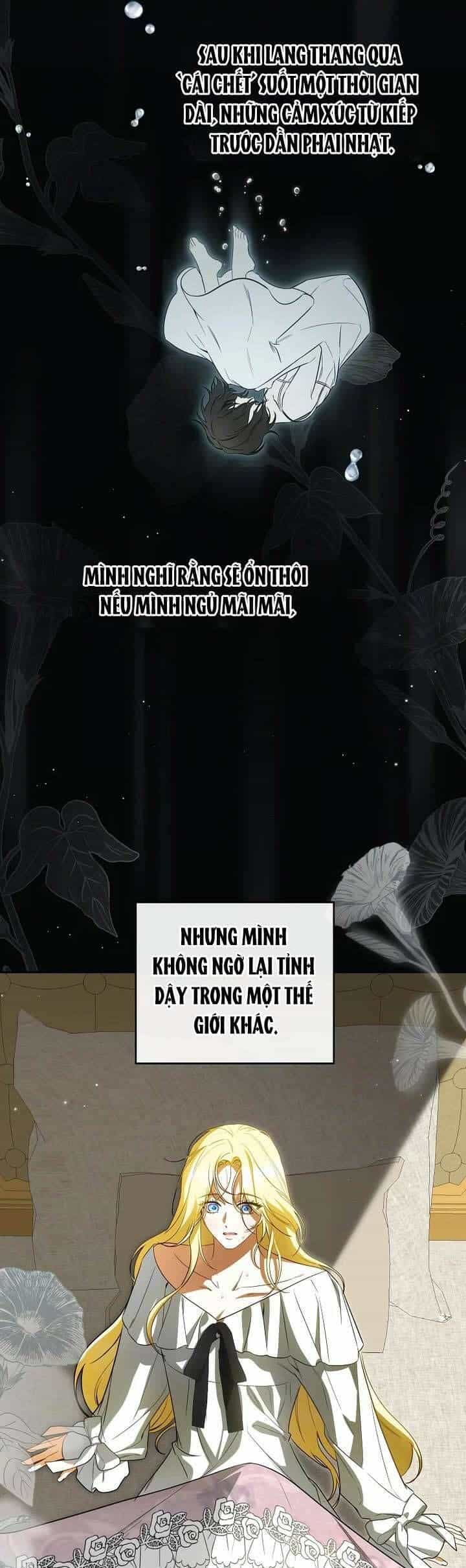 Hình Như Tôi Đã Xuyên Vào Cuốn Tiểu Thuyết Nào Đó - Chương 74 - ảnh 33