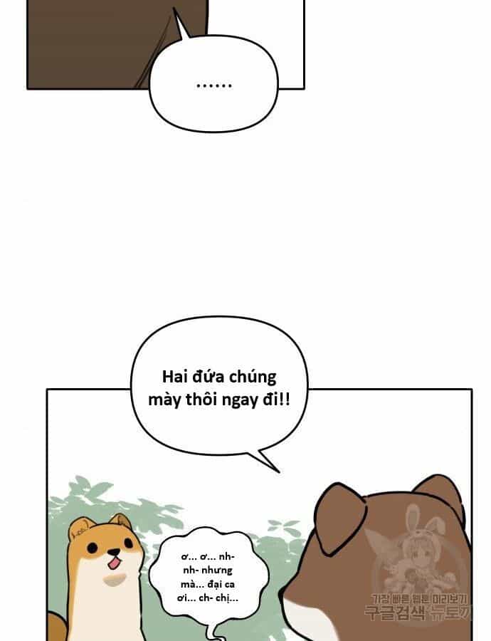 Hổ Đến Chơi Nhà - Chương 132 - ảnh 60