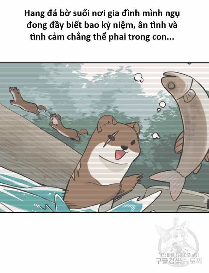 Hổ Đến Chơi Nhà - Chương 132 - ảnh 72