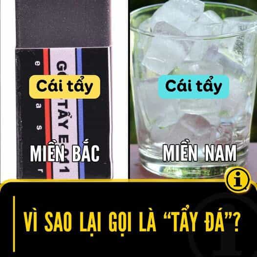 Hổ Đến Chơi Nhà - Chương 137 - ảnh 86