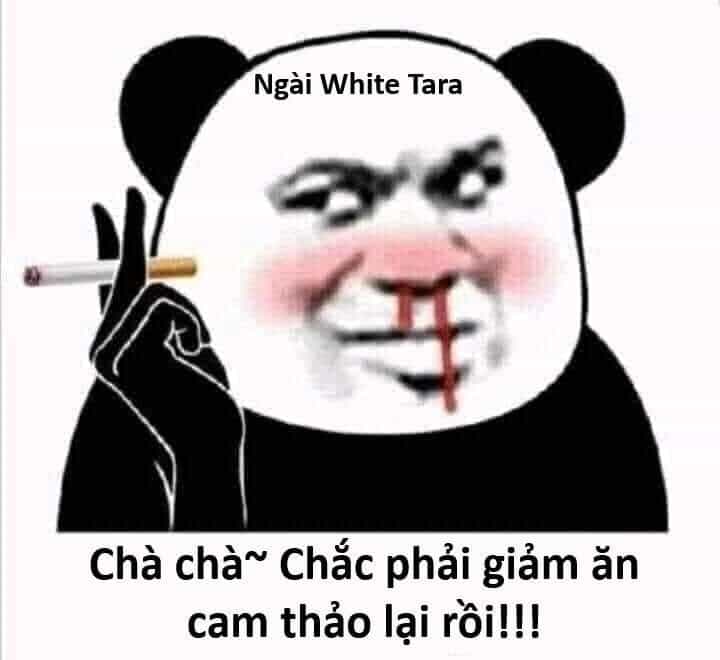 Hổ Đến Chơi Nhà - Chương 143 - ảnh 48