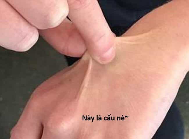 Hổ Đến Chơi Nhà - Chương 144 - ảnh 64