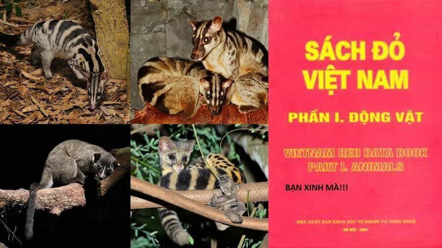 Hổ Đến Chơi Nhà - Chương 144 - ảnh 75