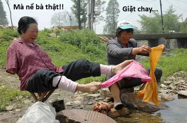 Hổ Đến Chơi Nhà - Chương 145 - ảnh 48