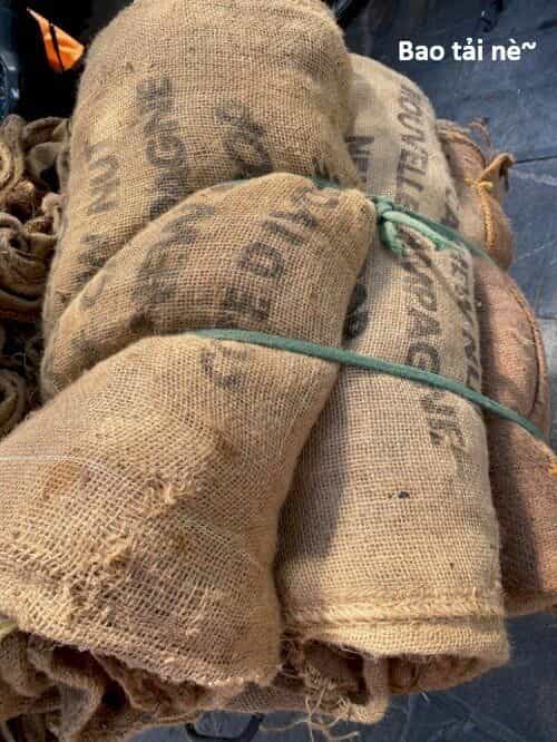 Hổ Đến Chơi Nhà - Chương 147 - ảnh 135