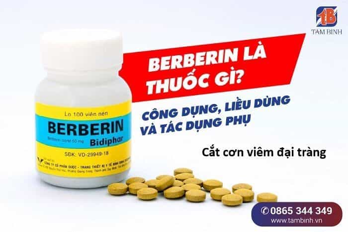 Hổ Đến Chơi Nhà - Chương 153 - ảnh 10