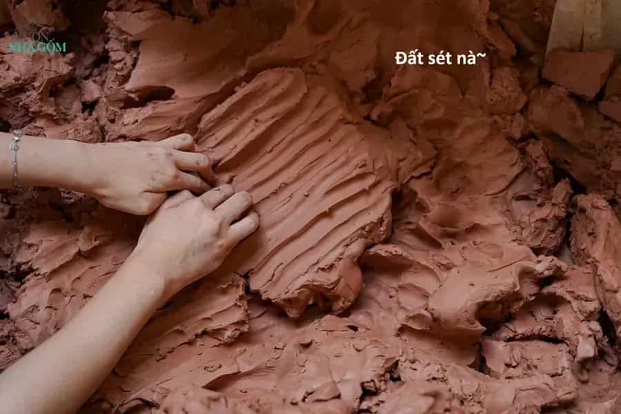 Hổ Đến Chơi Nhà - Chương 178 - ảnh 4
