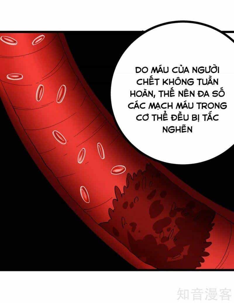 Hộ Hoa Cao Thủ Tại Vườn Trường - Chương 225 - ảnh 2