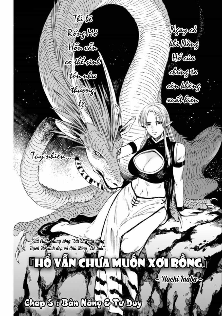 Hổ Vẫn Chưa Muốn Xơi Rồng - Chương 3 - ảnh 3