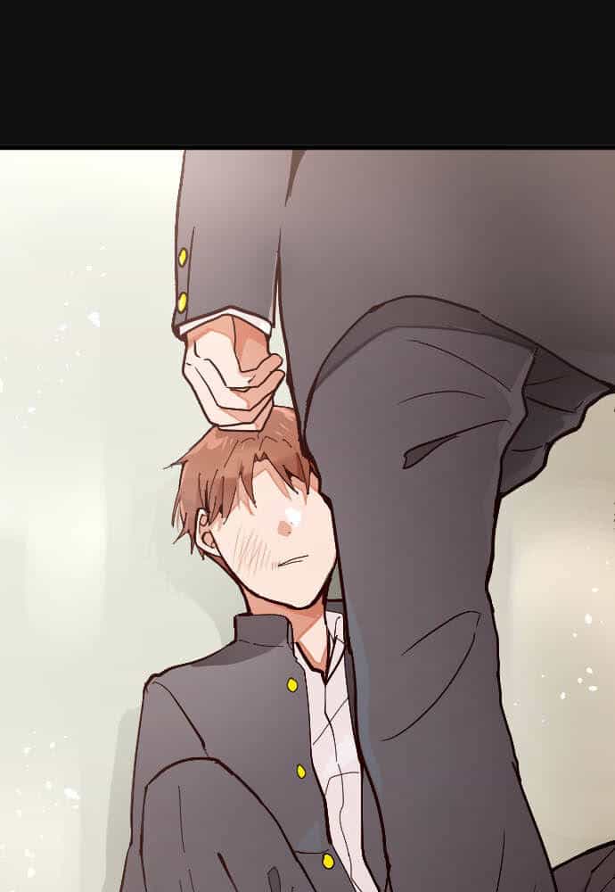 Hoa Cánh Sao - Chương 101 - ảnh 21