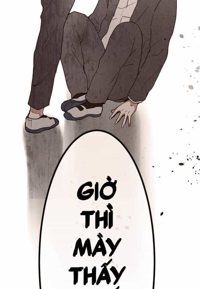 Hoa Cánh Sao - Chương 101 - ảnh 4