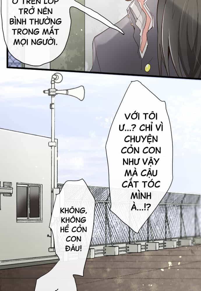 Hoa Cánh Sao - Chương 102 - ảnh 43