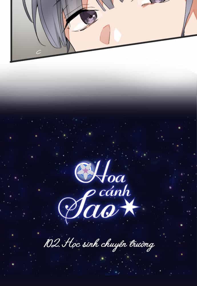 Hoa Cánh Sao - Chương 103 - ảnh 11