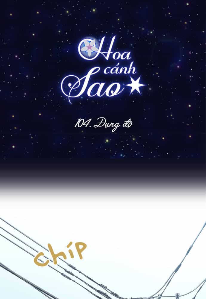 Hoa Cánh Sao - Chương 105 - ảnh 16