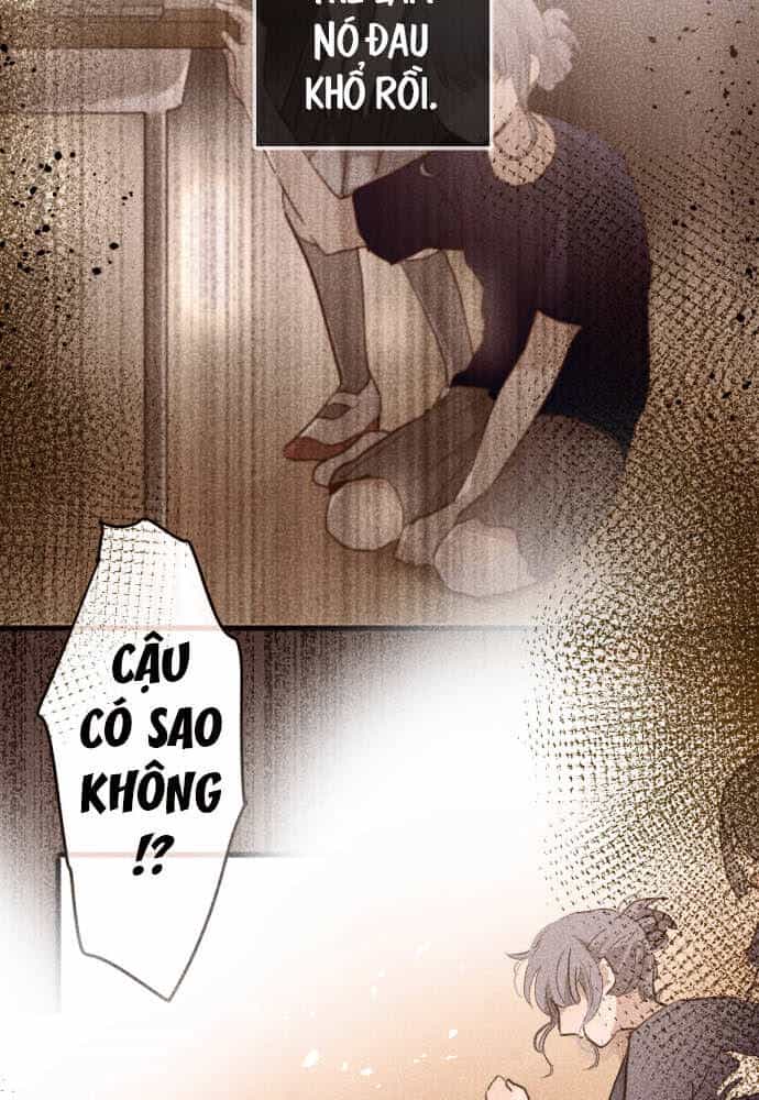 Hoa Cánh Sao - Chương 109 - ảnh 15