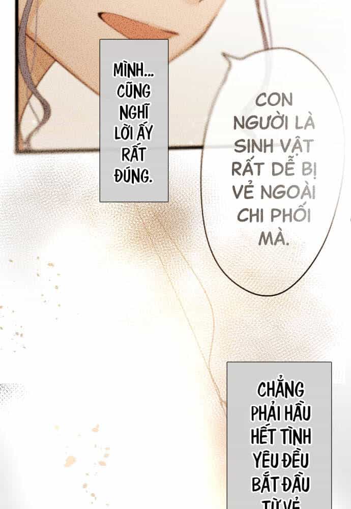 Hoa Cánh Sao - Chương 113 - ảnh 23