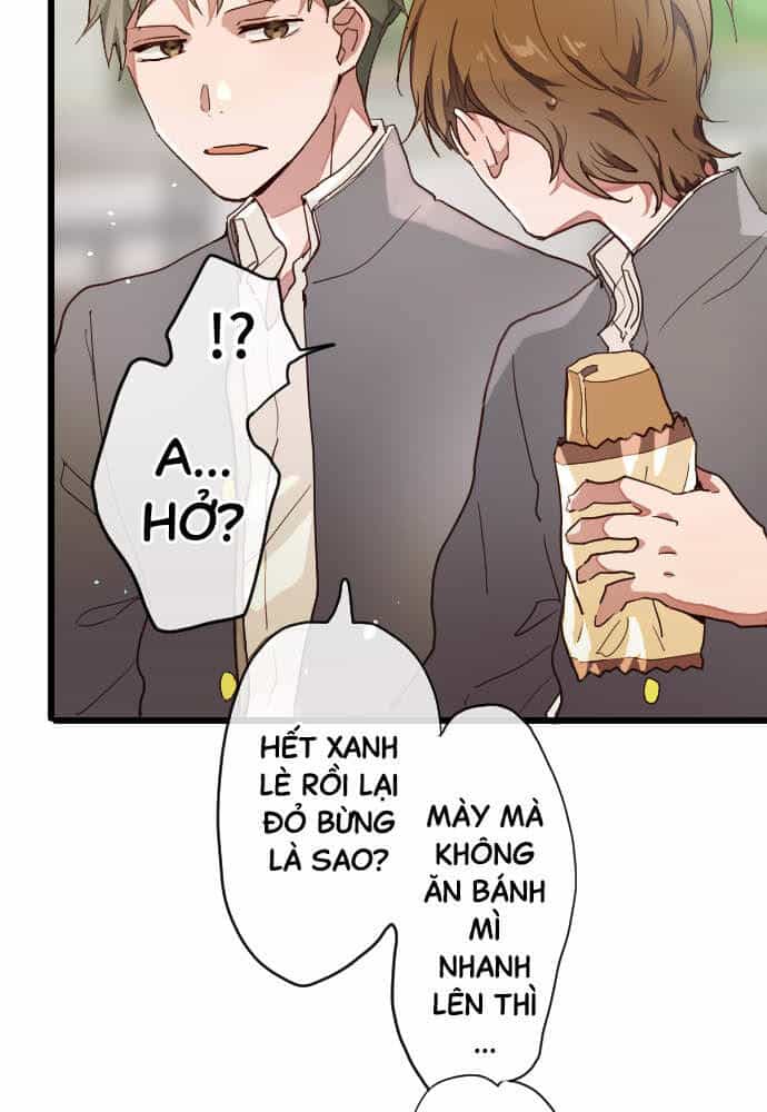 Hoa Cánh Sao - Chương 113 - ảnh 30