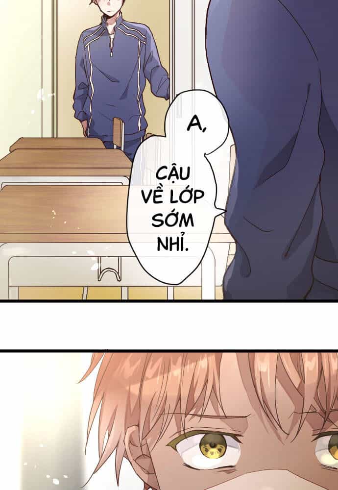 Hoa Cánh Sao - Chương 115 - ảnh 2