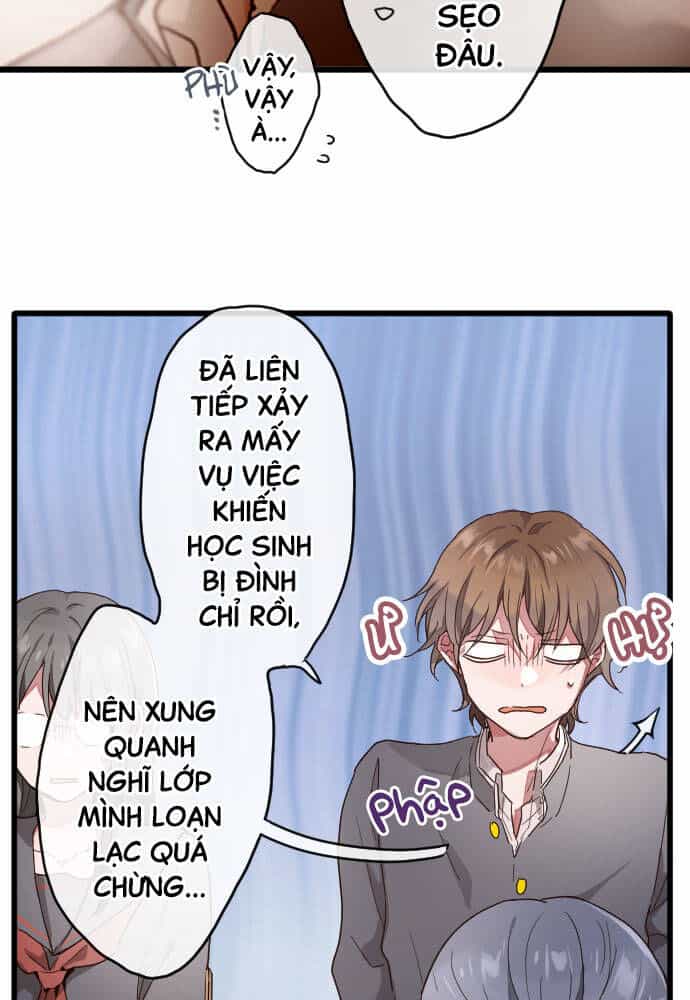 Hoa Cánh Sao - Chương 116 - ảnh 24