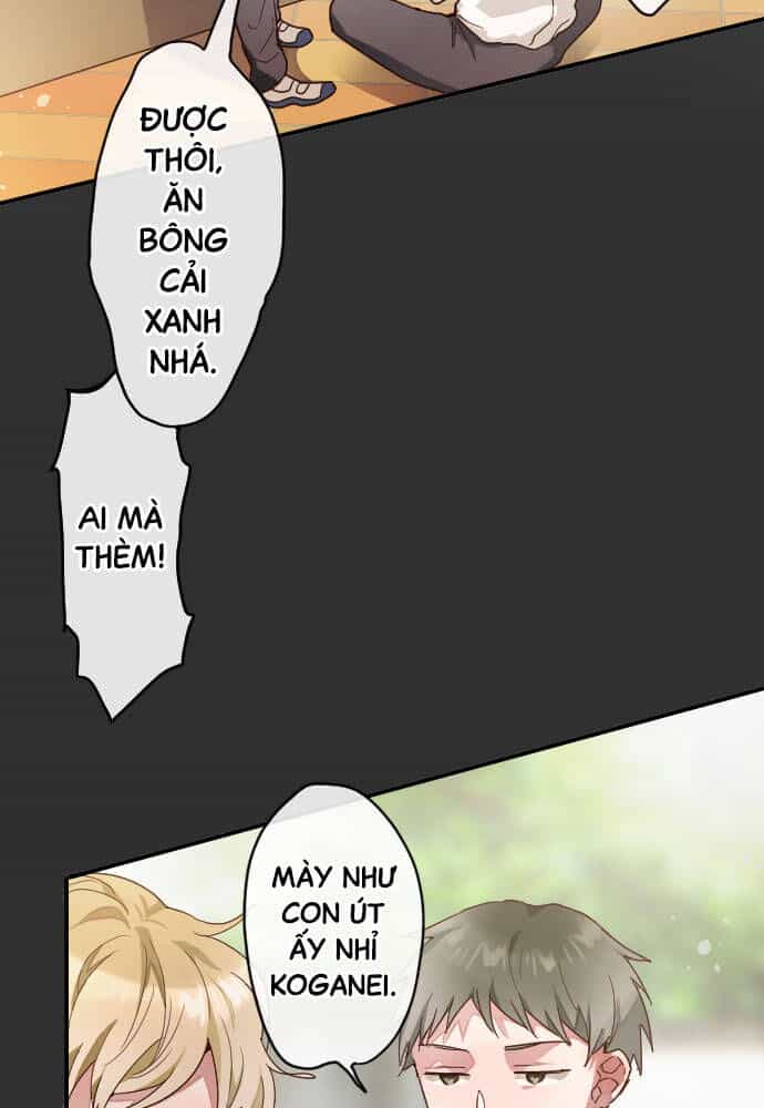 Hoa Cánh Sao - Chương 116 - ảnh 4