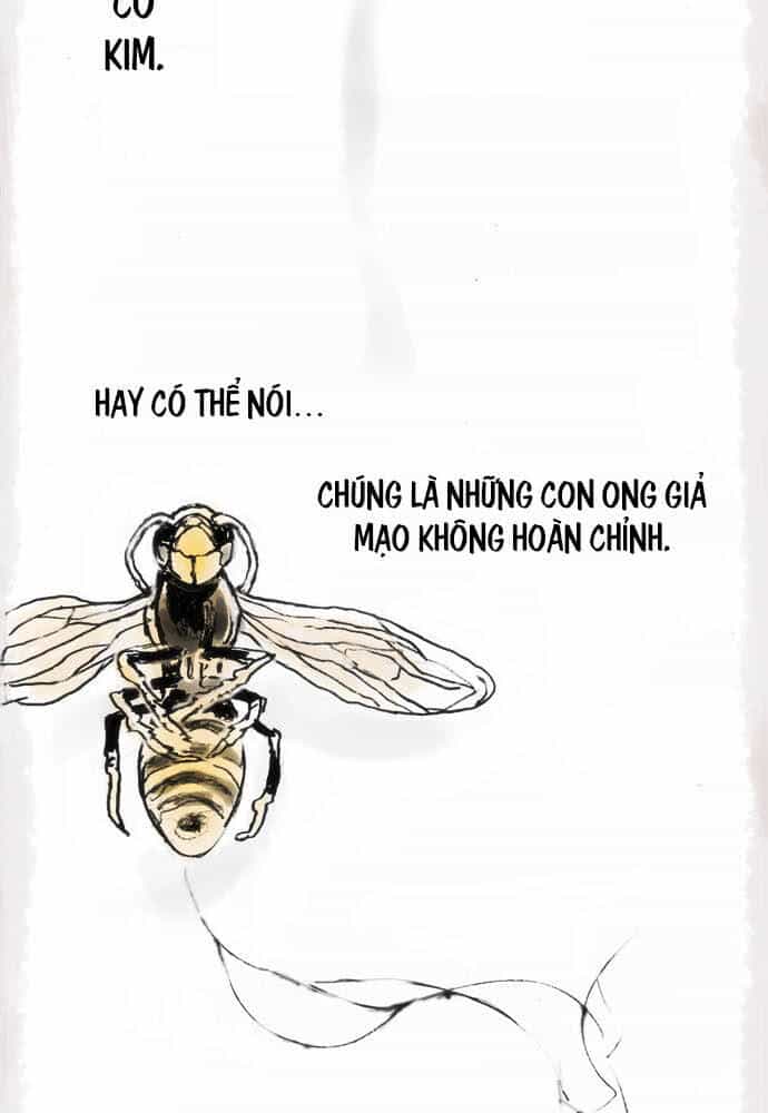 Hoa Cánh Sao - Chương 12 - ảnh 2