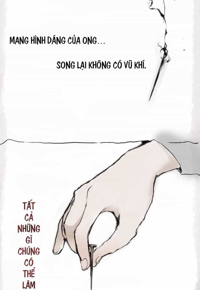 Hoa Cánh Sao - Chương 12 - ảnh 3