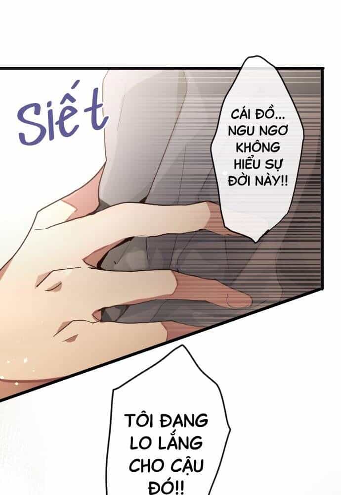 Hoa Cánh Sao - Chương 122 - ảnh 21