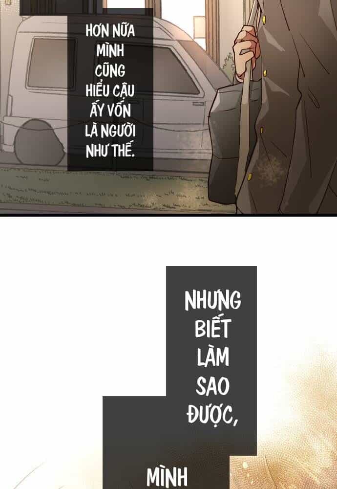 Hoa Cánh Sao - Chương 122 - ảnh 31