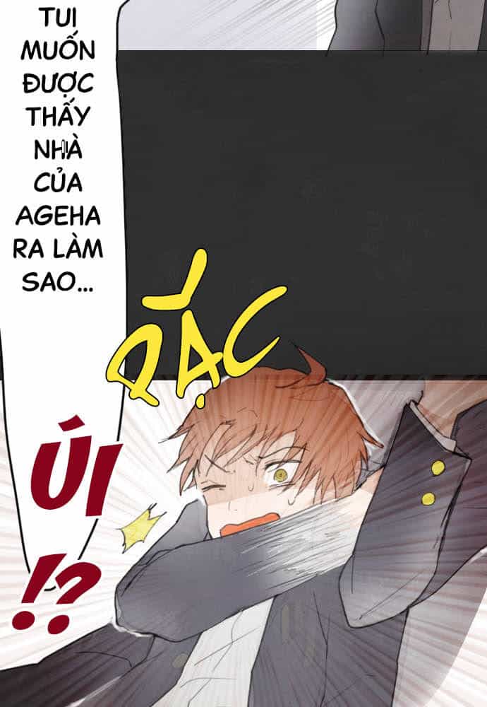 Hoa Cánh Sao - Chương 13 - ảnh 28