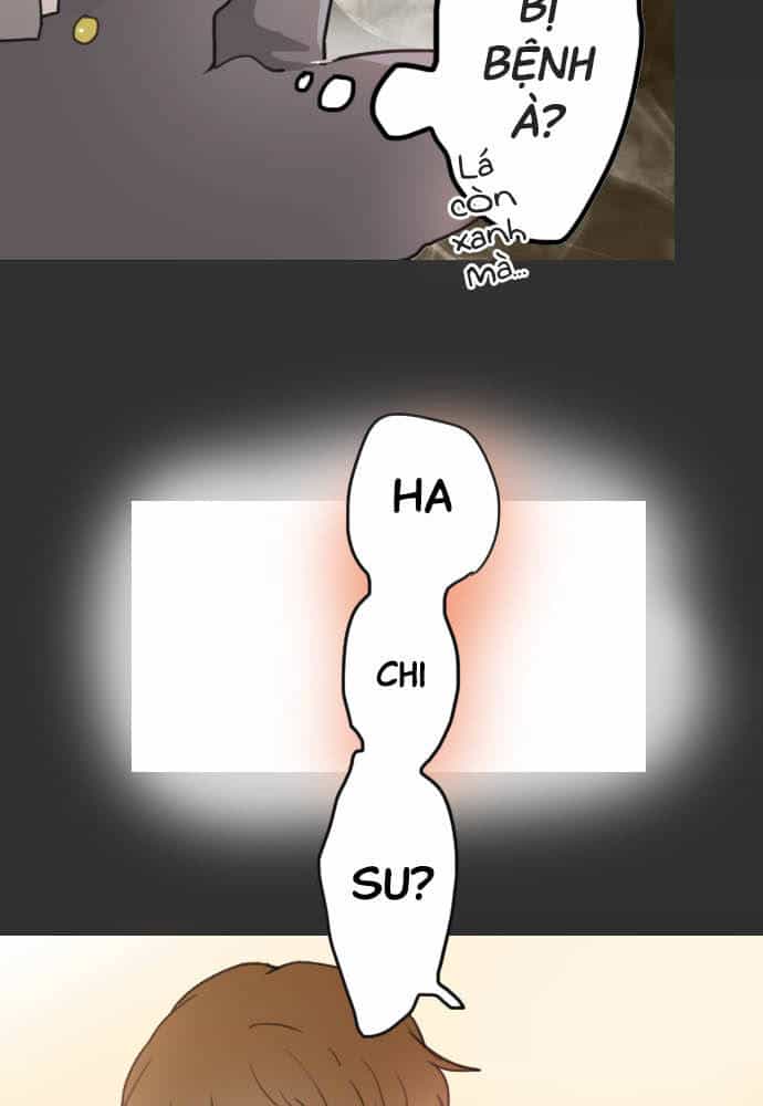Hoa Cánh Sao - Chương 18 - ảnh 35