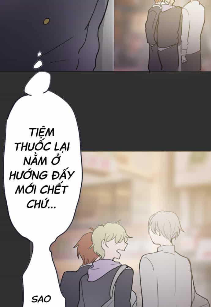Hoa Cánh Sao - Chương 20 - ảnh 19