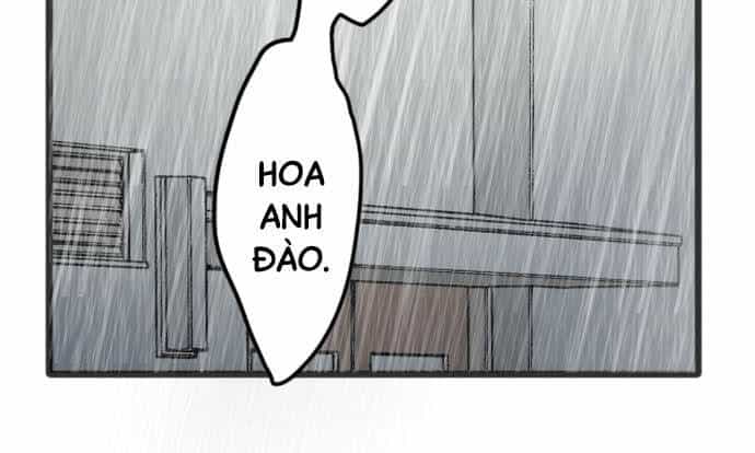 Hoa Cánh Sao - Chương 28 - ảnh 22