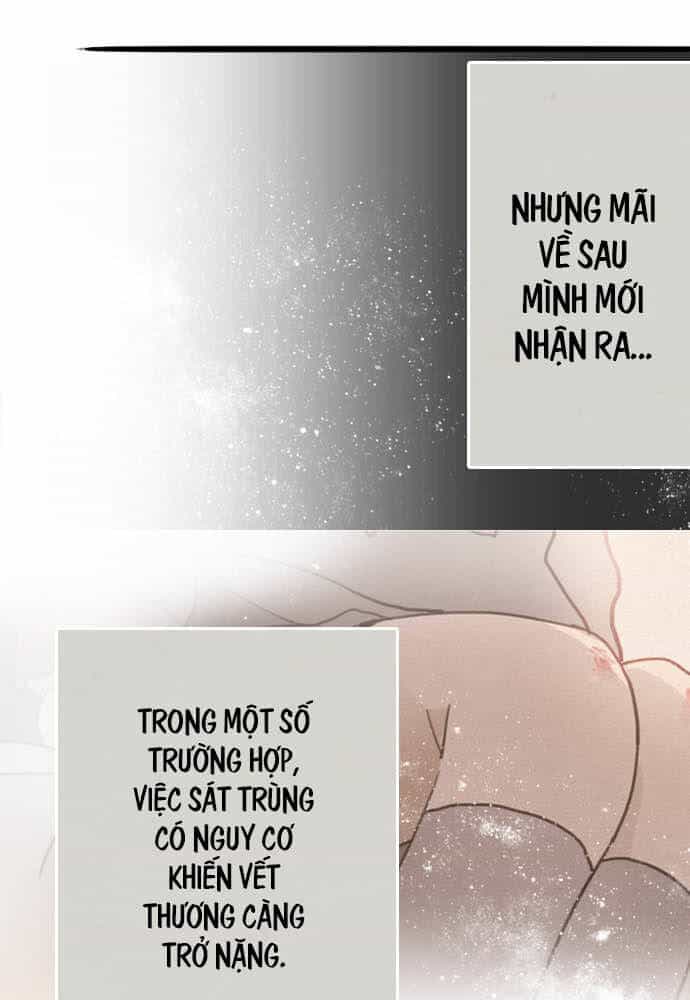 Hoa Cánh Sao - Chương 30 - ảnh 12