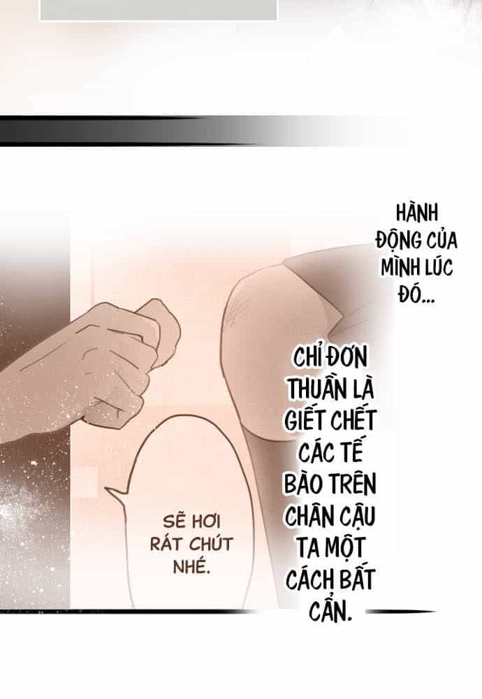 Hoa Cánh Sao - Chương 30 - ảnh 13
