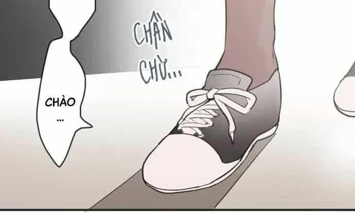 Hoa Cánh Sao - Chương 36 - ảnh 66