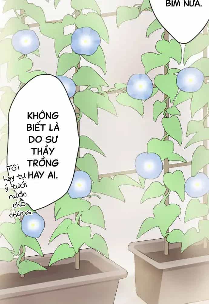 Hoa Cánh Sao - Chương 38 - ảnh 47