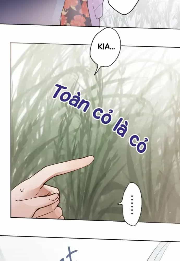 Hoa Cánh Sao - Chương 38 - ảnh 49