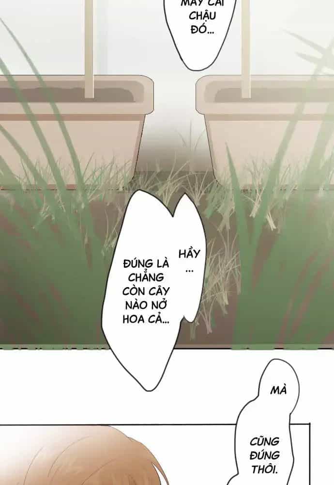 Hoa Cánh Sao - Chương 38 - ảnh 52