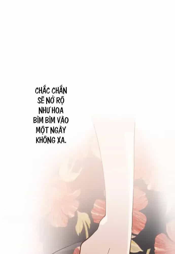 Hoa Cánh Sao - Chương 38 - ảnh 78
