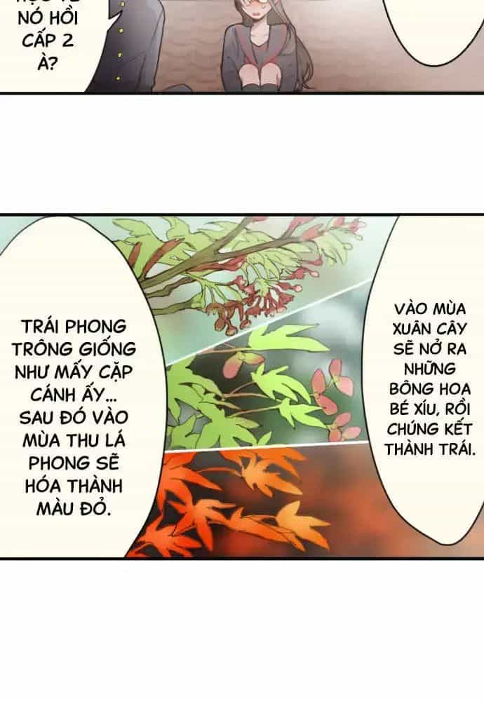 Hoa Cánh Sao - Chương 38.5 - ảnh 3