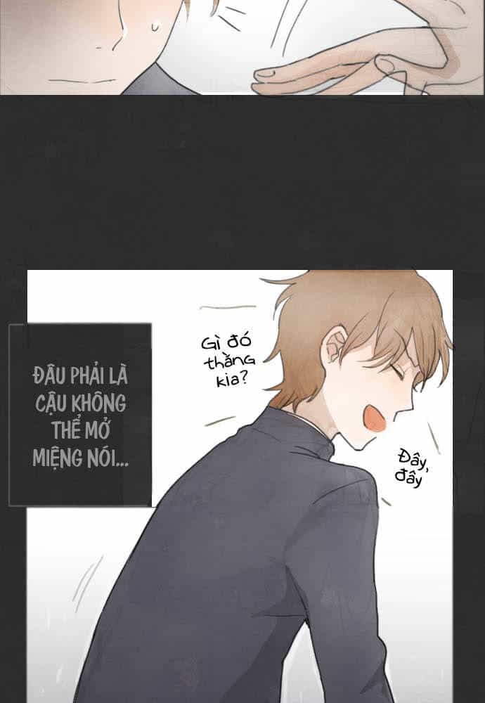 Hoa Cánh Sao - Chương 4 - ảnh 12