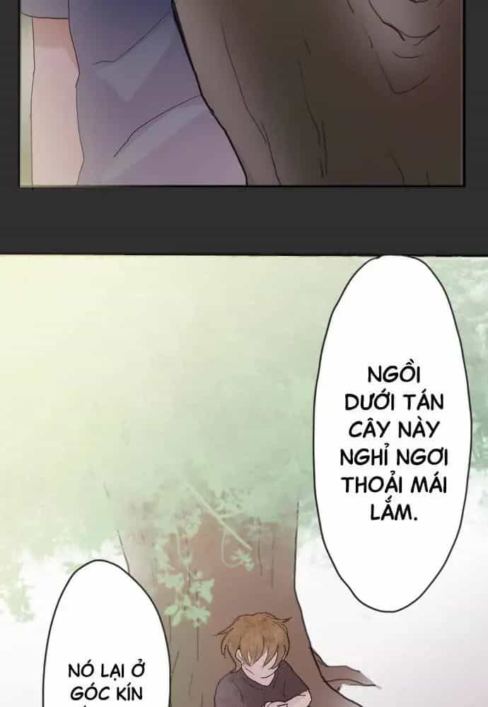 Hoa Cánh Sao - Chương 39 - ảnh 19