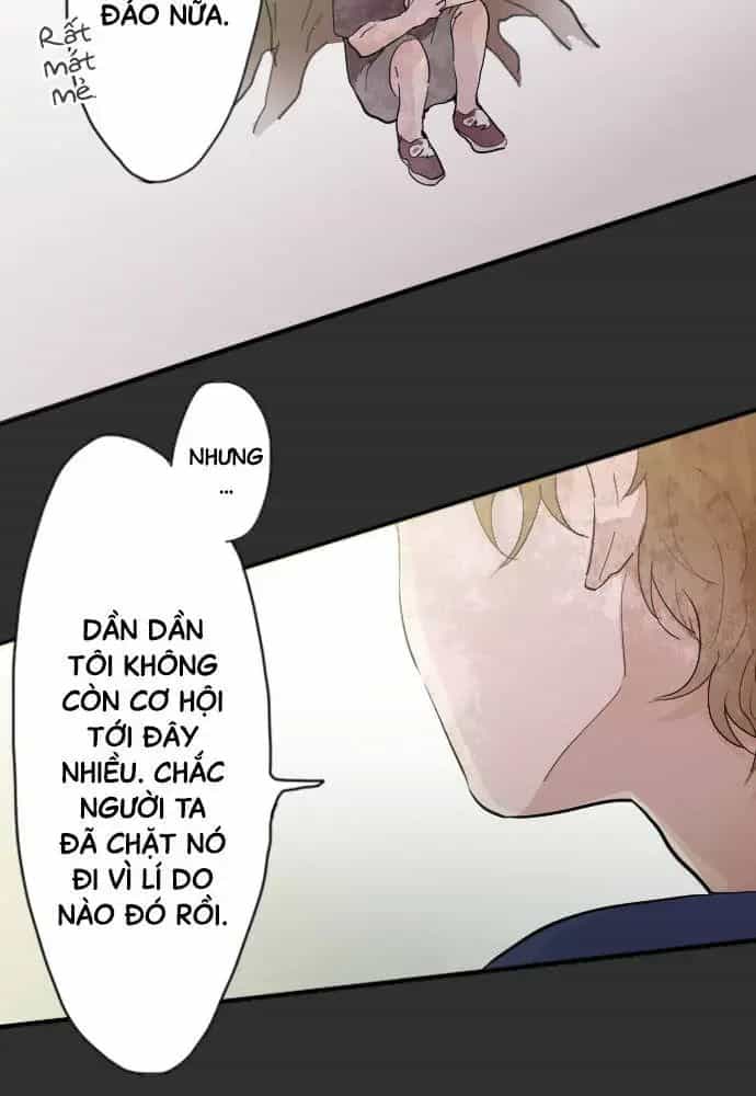 Hoa Cánh Sao - Chương 39 - ảnh 20